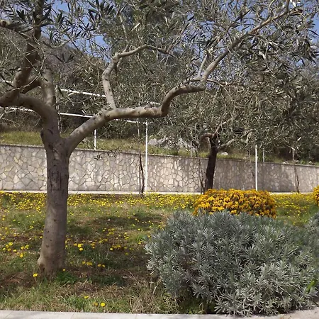 In - Istrien 30383 Appartamento Ravni